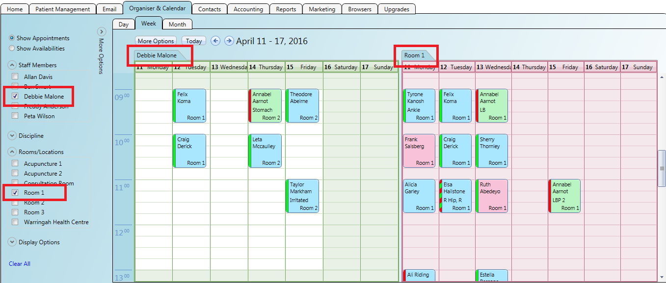 The main organiser and calendar showing appointments for a practitioner as well as a room