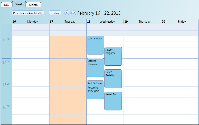Multiple simultaneous bookings appear stacked in the practitioner's calendar